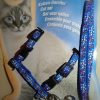 Beautifull cat Harness