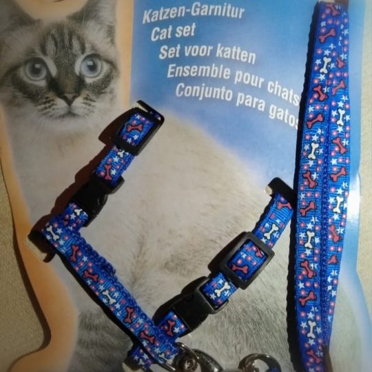 Beautifull cat Harness
