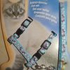 Beautifull cat Harness