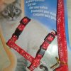 Beautifull cat Harness