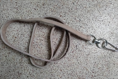 simple leather collar