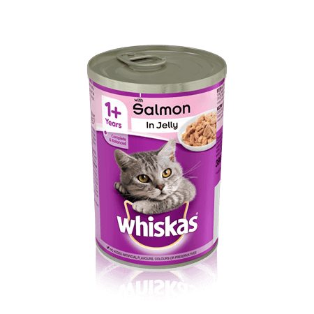 Whiskas salmon jelly