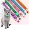 collar glitter CAT COLLAR - GLITTER