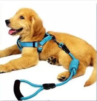 Puppy Harness+Lead Nylon SMALL BLUE