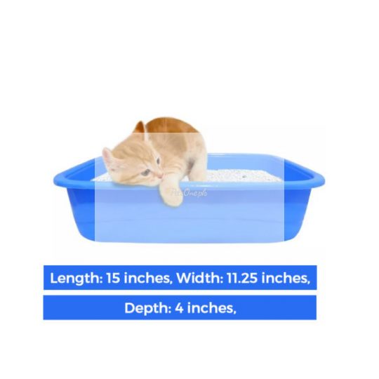 kitten litter tray