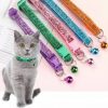 CAT COLLAR - GLITTER