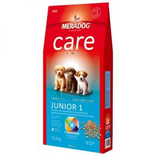 MeraDog JUNIOR 1