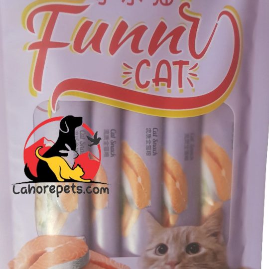creamy treats